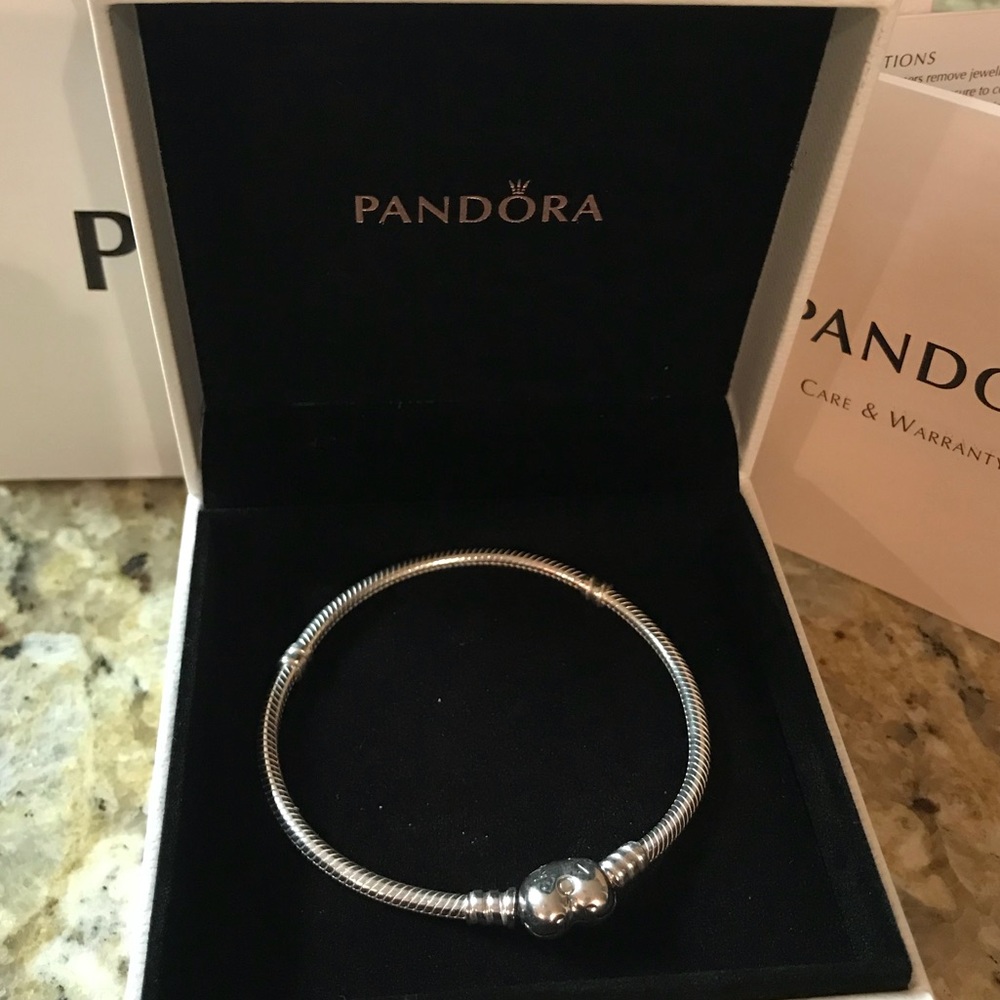 NWT Pandora charm bracelet